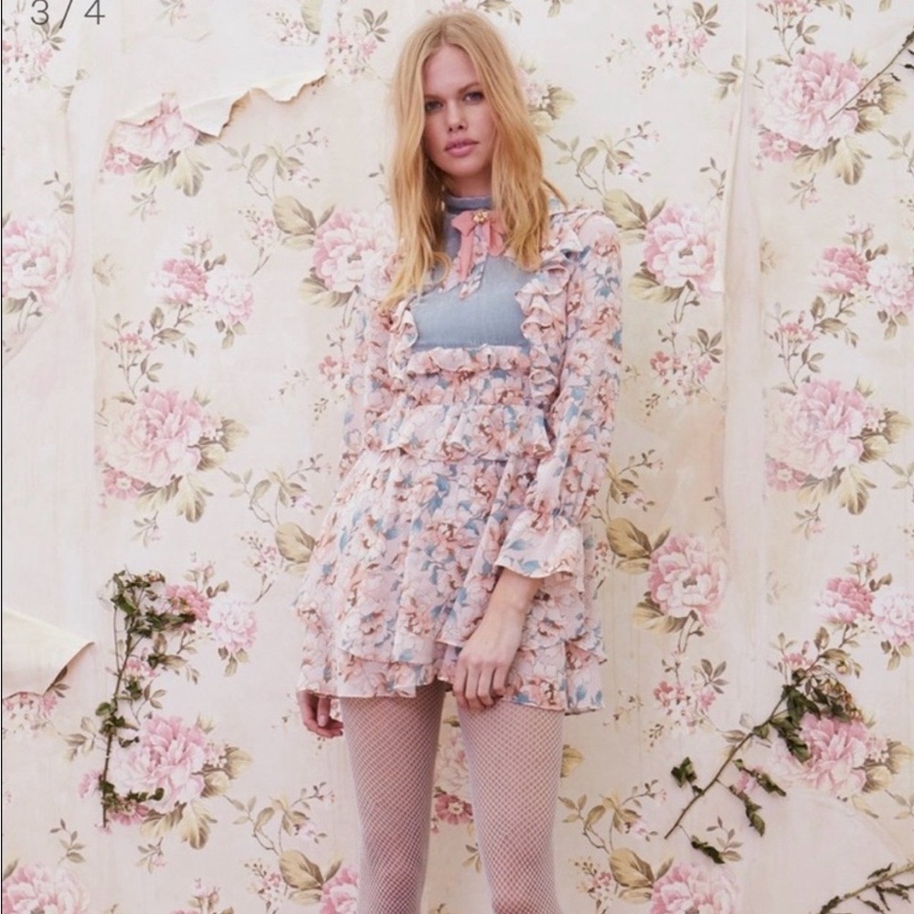 For Love and Lemons Blossom Mini Dress with Bee, Medium